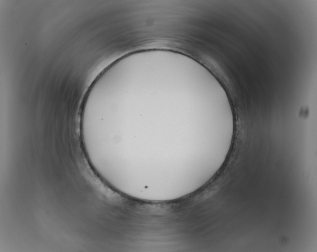 X0000112180900200909041227