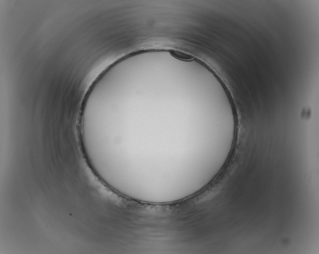 X0000112180901200909041227