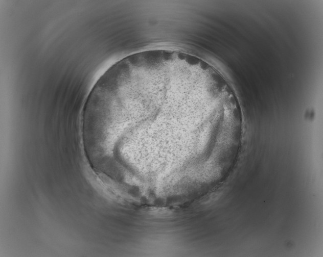 X0000112180907200909041227