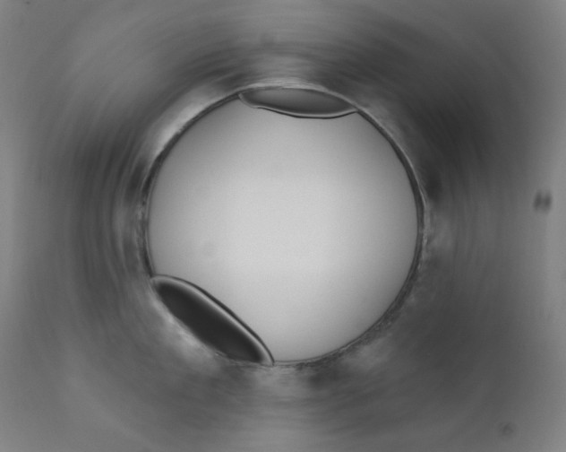 X0000112180909200909041227