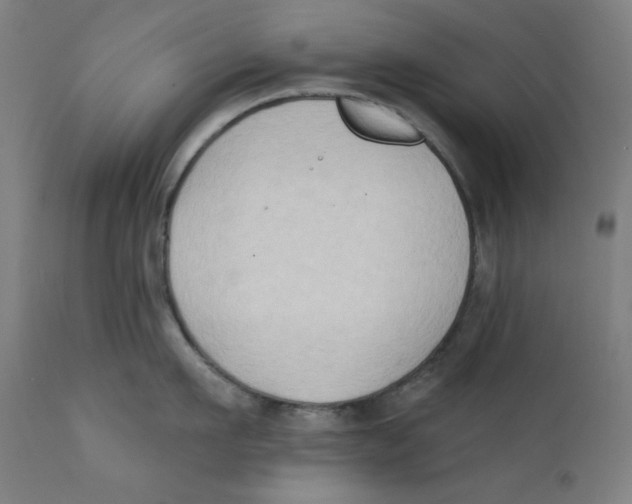 X0000112180911200909041227