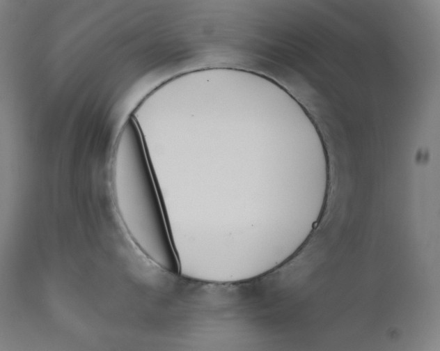 X0000112180912200909041227