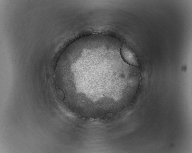 X0000112180913200909041226