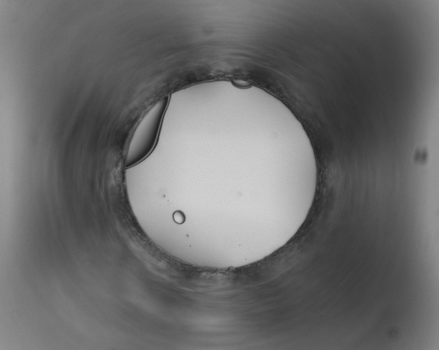 X0000112180914200909041226