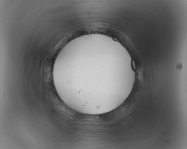 X0000112180915200909041226