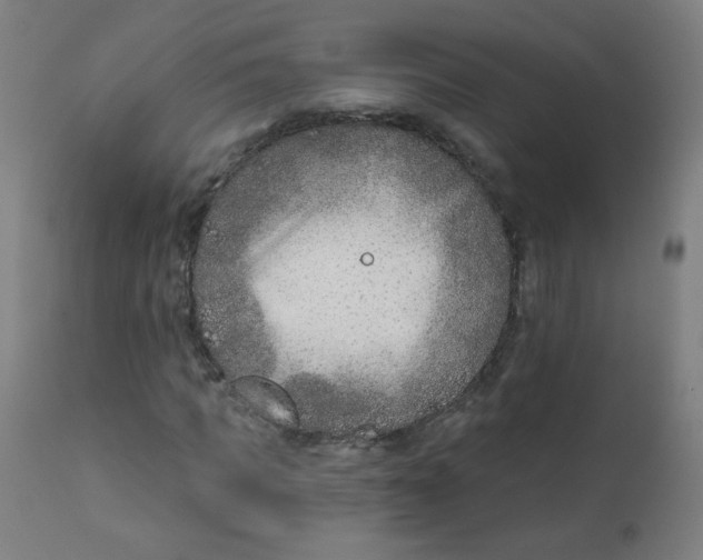 X0000112180917200909041226