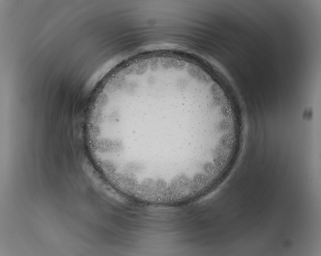 X0000112180921200909041226