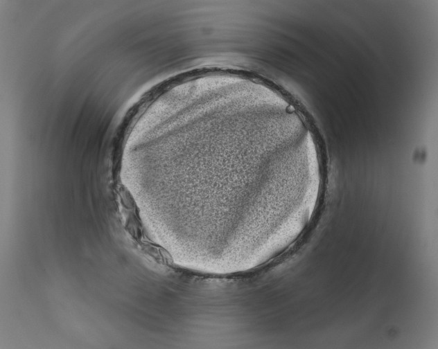 X0000112180923200909041226