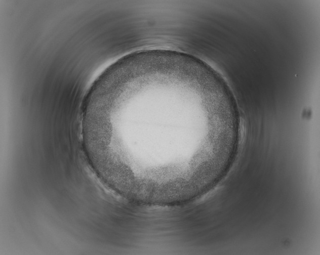 X0000112180925200909041226
