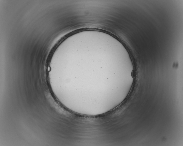 X0000112180932200909041226