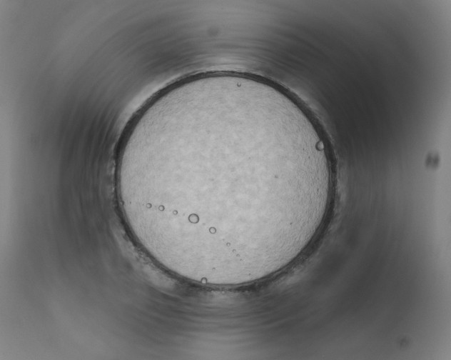 X0000112180933200909041226