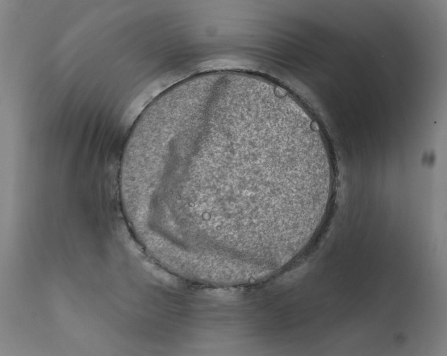 X0000112180937200909041226