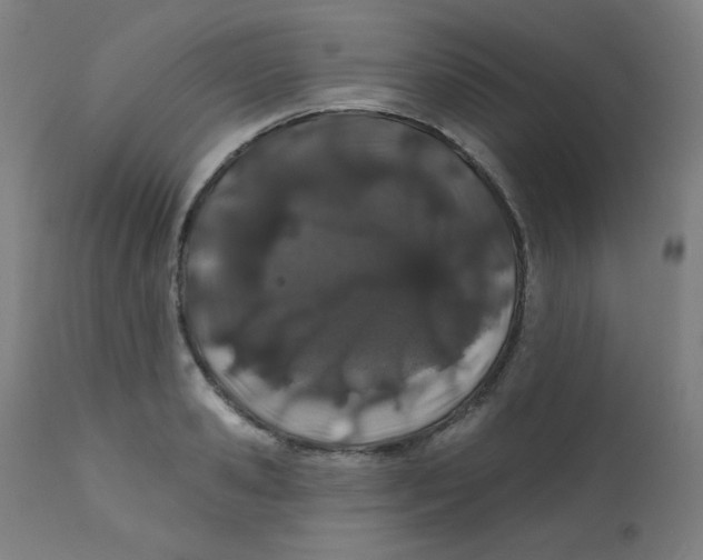 X0000112180941200909041227