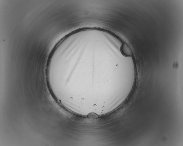 X0000112180943200909041227