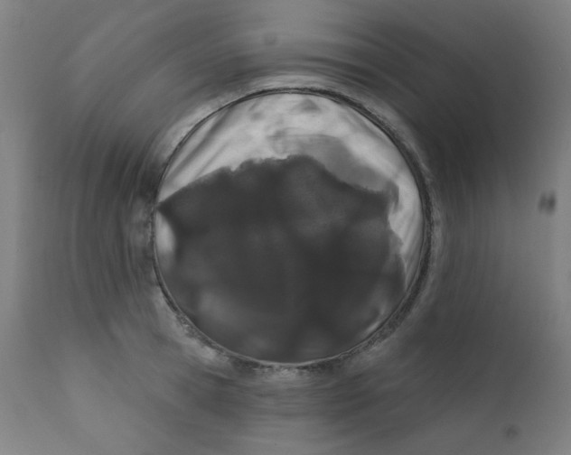 X0000112180945200909041227