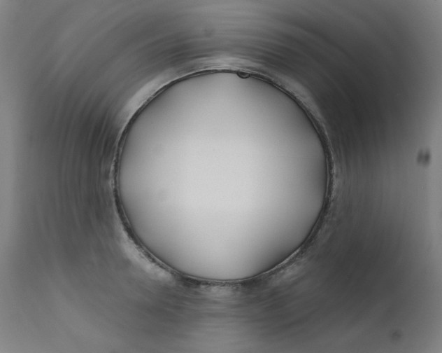 X0000112180946200909041227
