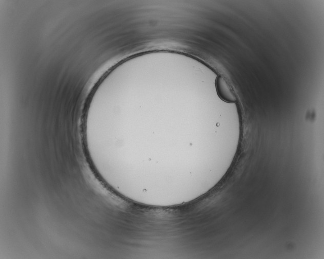X0000112180947200909041227