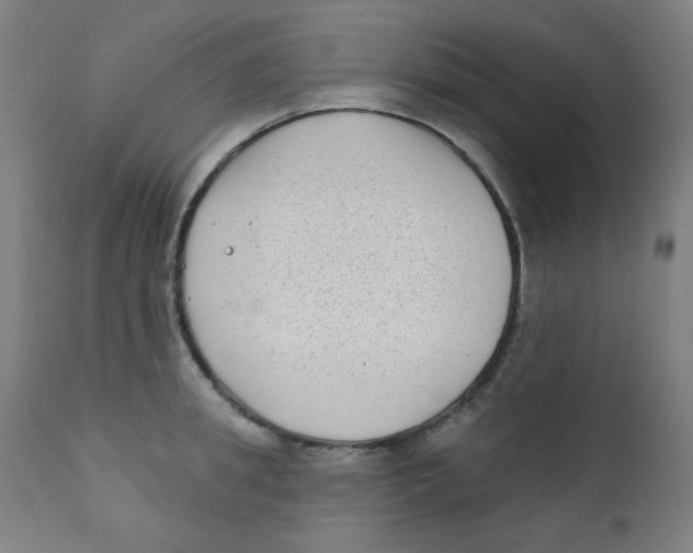 X0000112180949200909041227