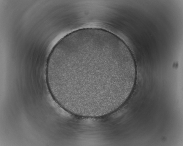 X0000112180950200909041227