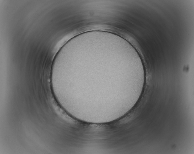 X0000112180954200909041227