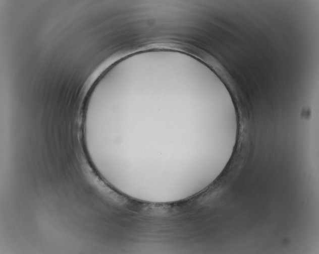 X0000112180955200909041227