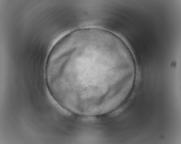 X0000112180957200909041227