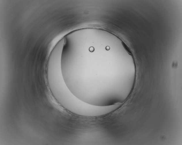 X0000112180960200909041227