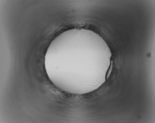 X0000112180961200909041226