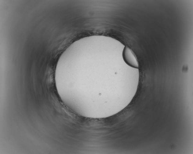 X0000112180962200909041226