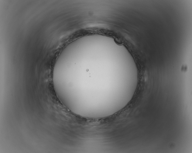 X0000112180965200909041226