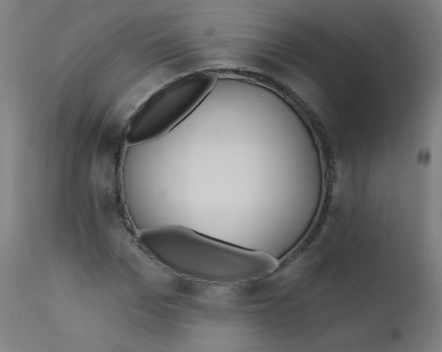 X0000112180969200909041226