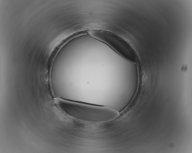 X0000112180973200909041226