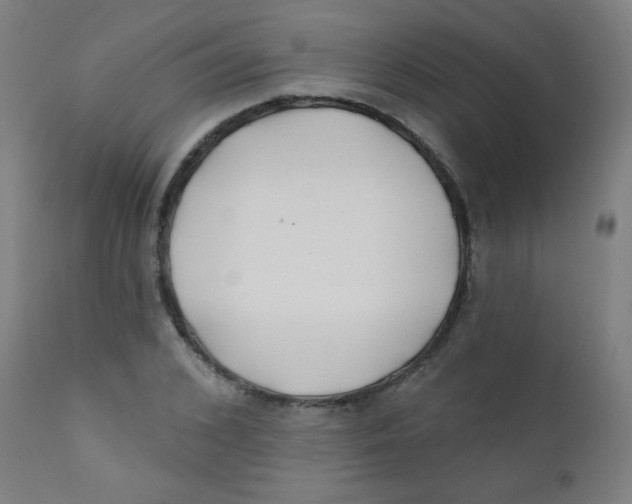 X0000112180976200909041226
