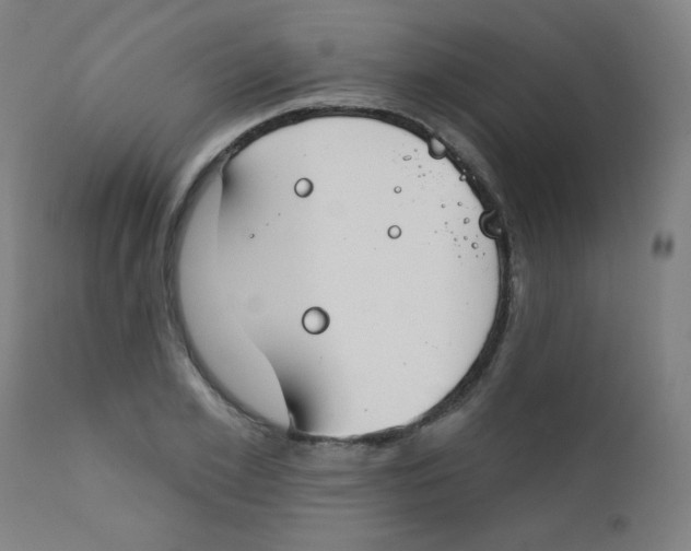 X0000112180981200909041226