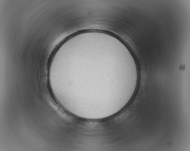 X0000112180982200909041226