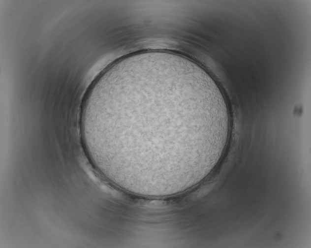 X0000112180986200909041226