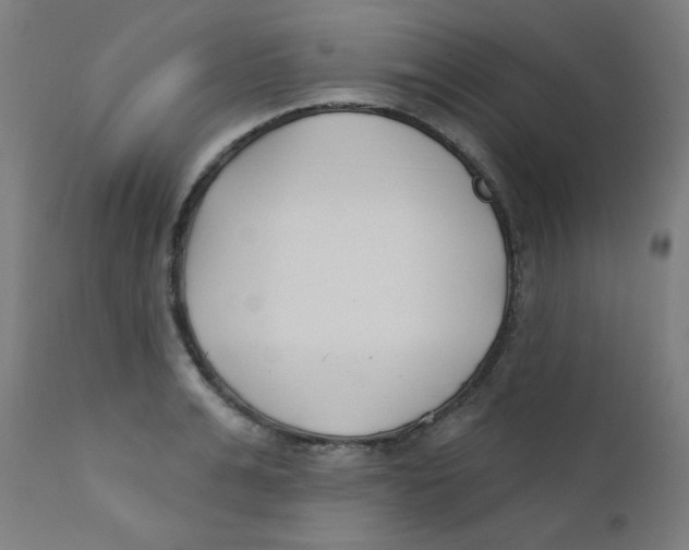 X0000112180991200909041225