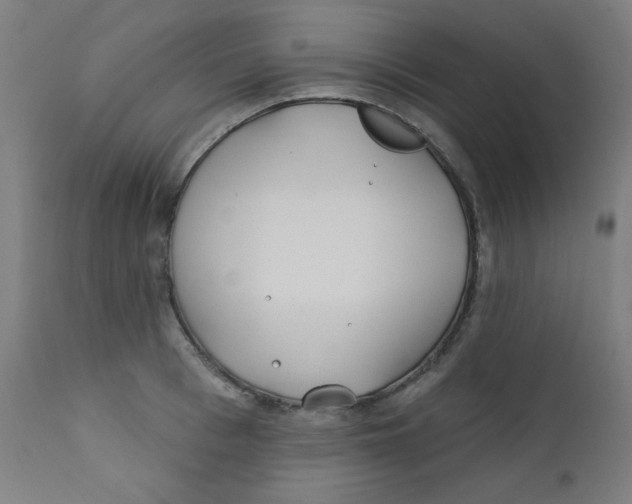 X0000112180993200909041225