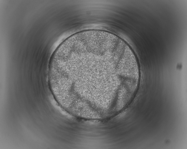 X0000112180994200909041225