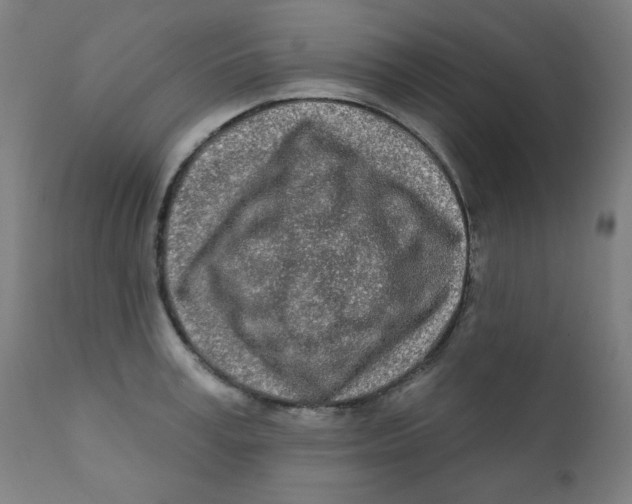 X0000112180995200909041225