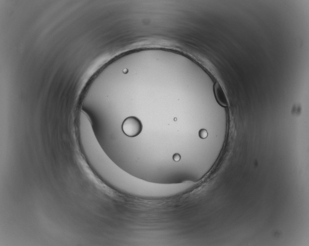 X0000112180997200909041225