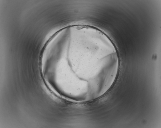 X0000112180998200909041225