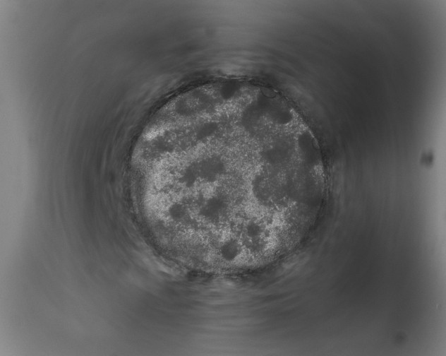 X0000112181009200909041224