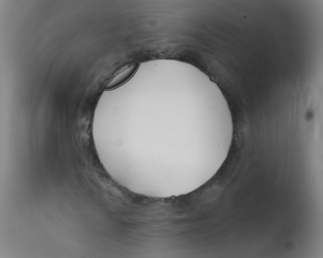 X0000112181010200909041224
