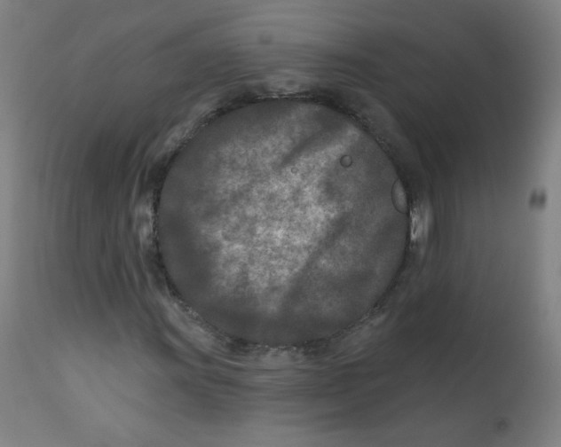 X0000112181011200909041224