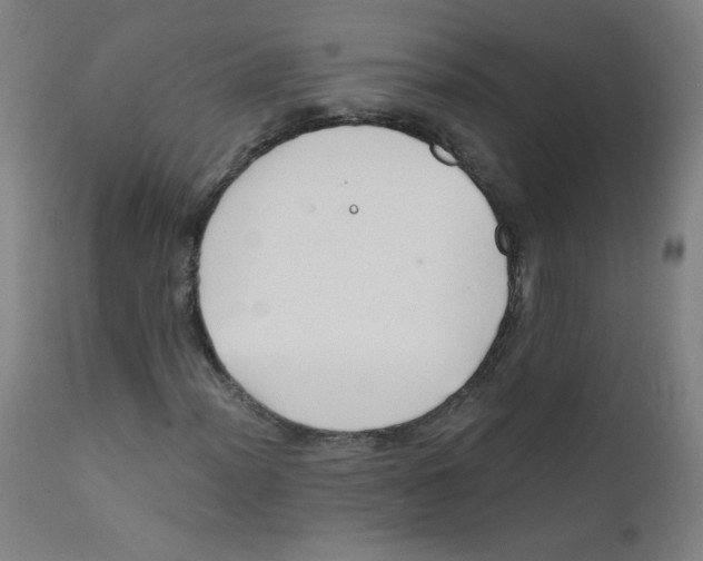 X0000112181012200909041225
