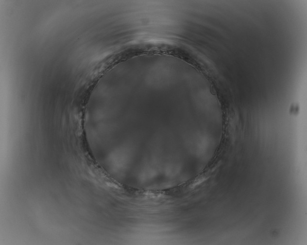 X0000112181013200909041225