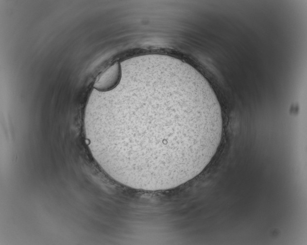 X0000112181015200909041225