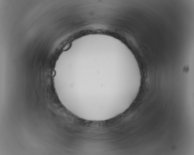 X0000112181016200909041225