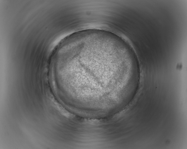 X0000112181019200909041225